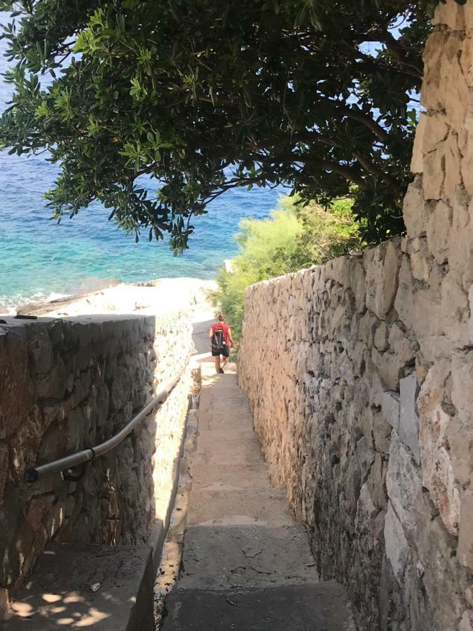 Dbk Studio Apartman Lägenhet Dubrovnik